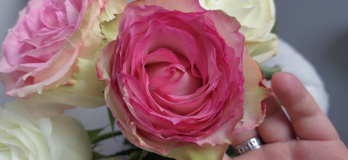 Ко дню твоего рождения