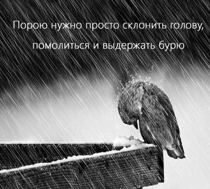 Просто я сильней тех. Цитаты про понимание. Просто я сильней тех. Сильные люди всегда немного грубые. Просто я сильней тех.
