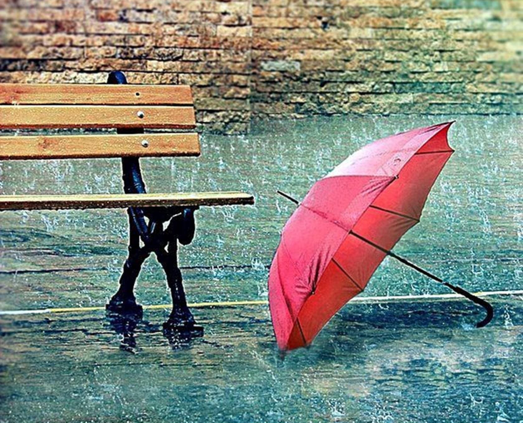 Rainy Day Pussy