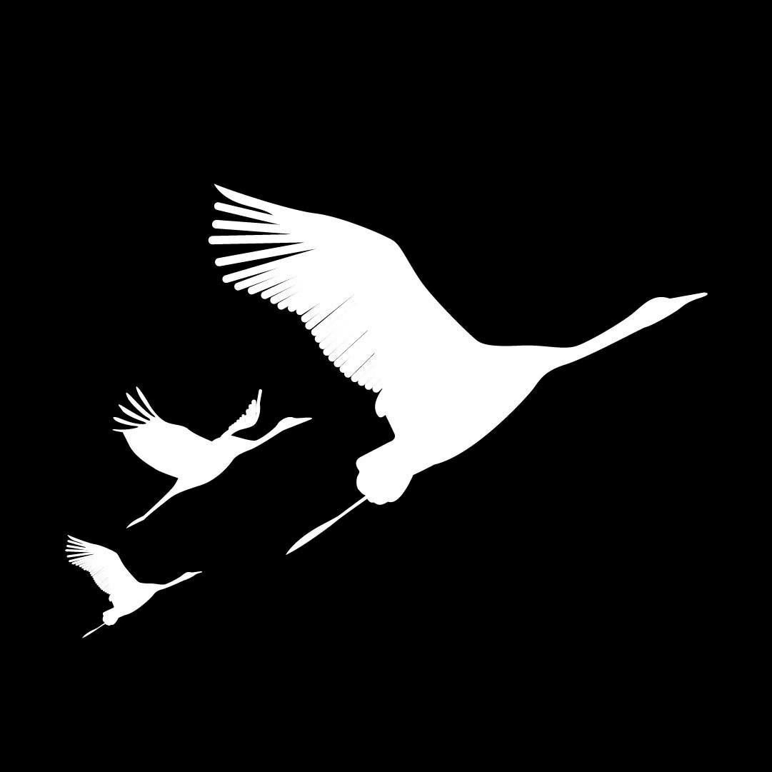 В вечность журавлиным клином...