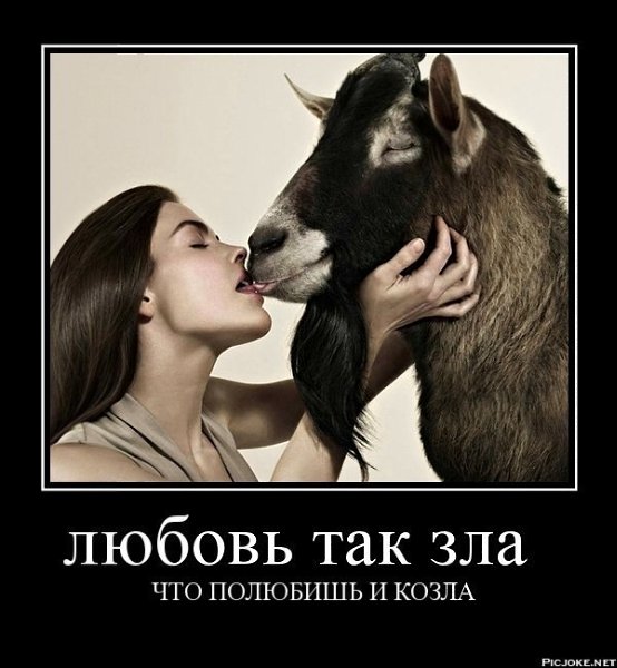 Любовь так зла!!