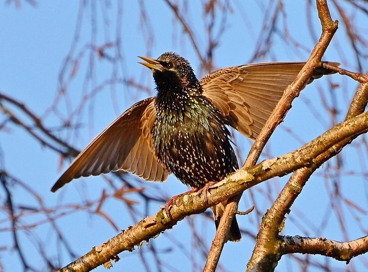 В дворах и парках