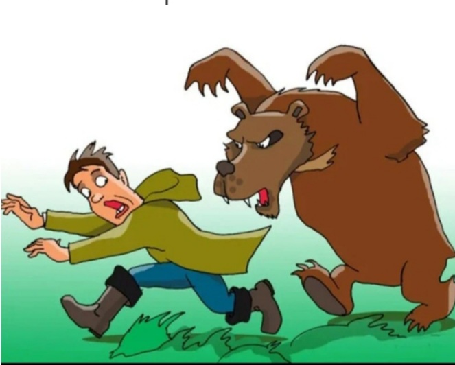 Медведь шатун