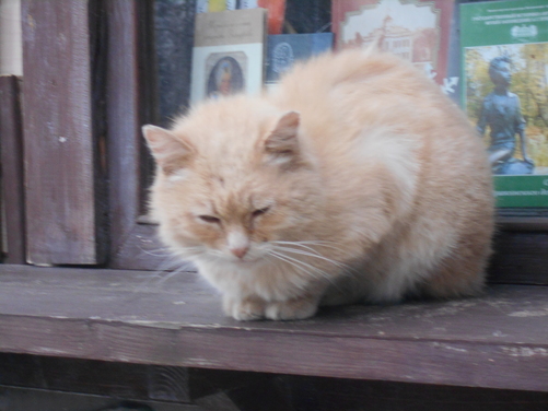 На краю озорства