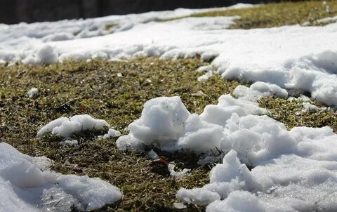 Последний сугроб