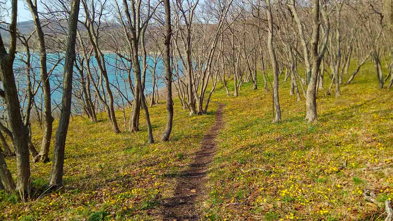 Парнишка Апрель