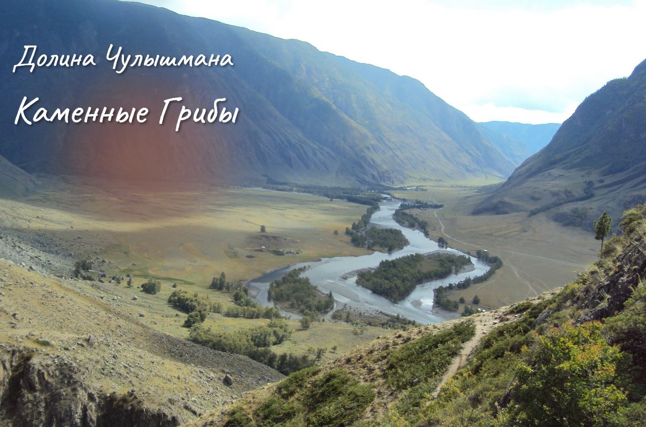Каменным Грибам