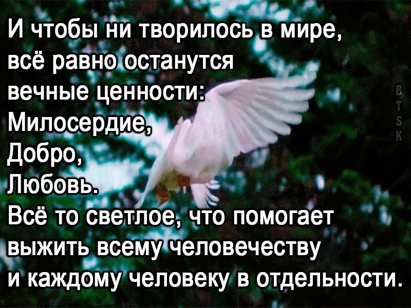 Любовь добра