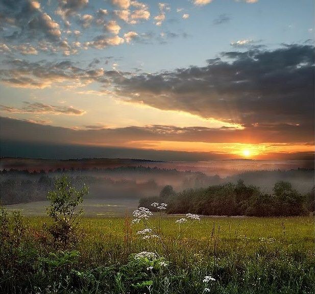 Приверженность