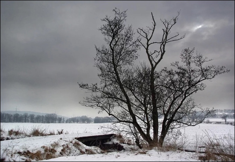 Без солнышка-могила