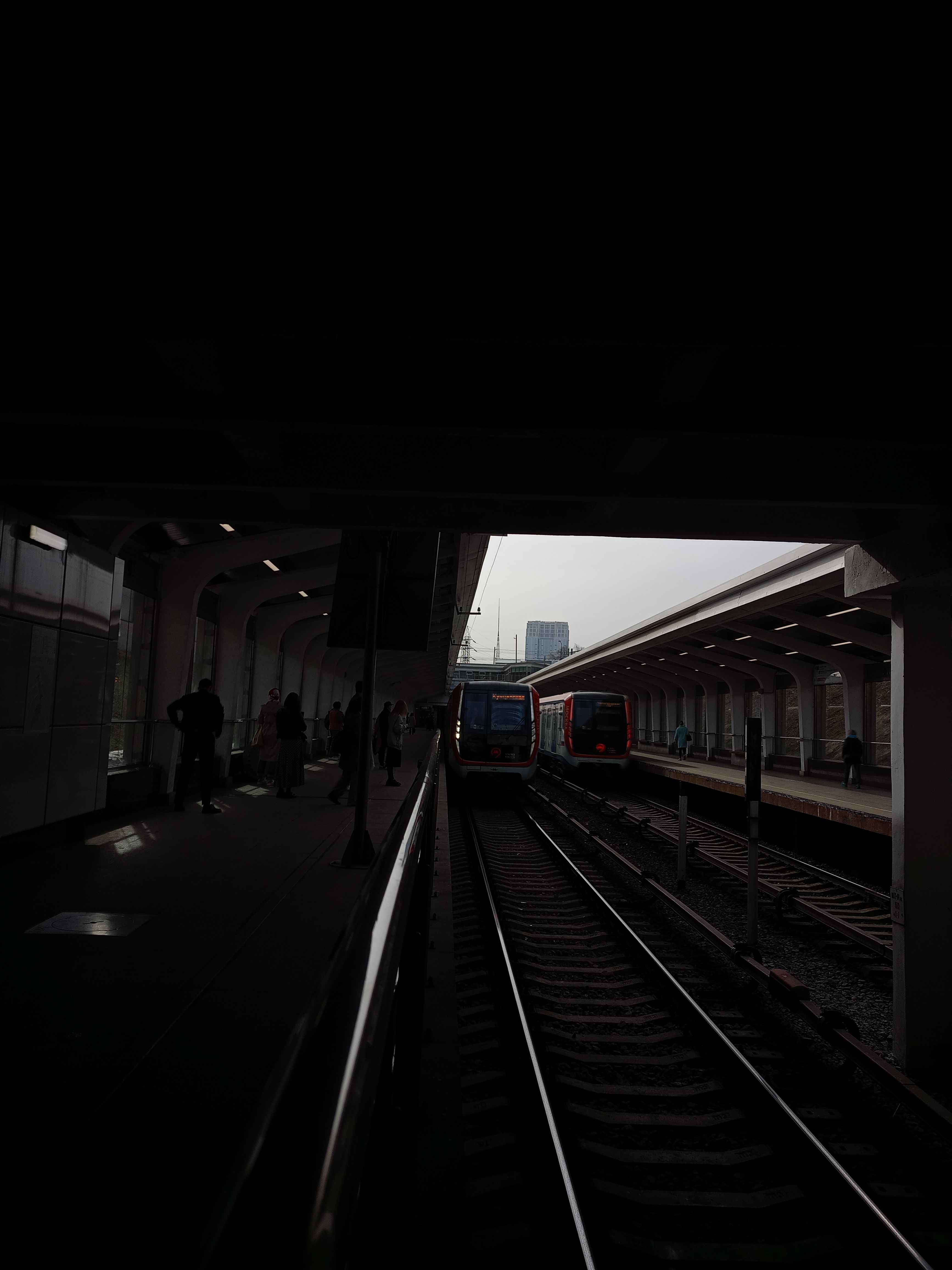 В полумраке ночи