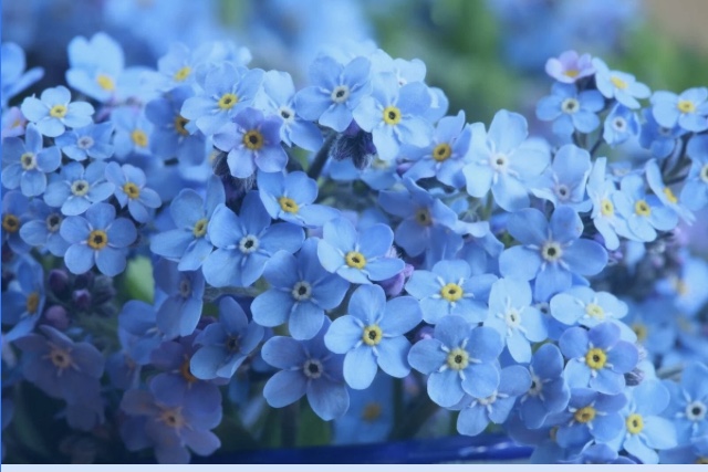 сегодня дождь...