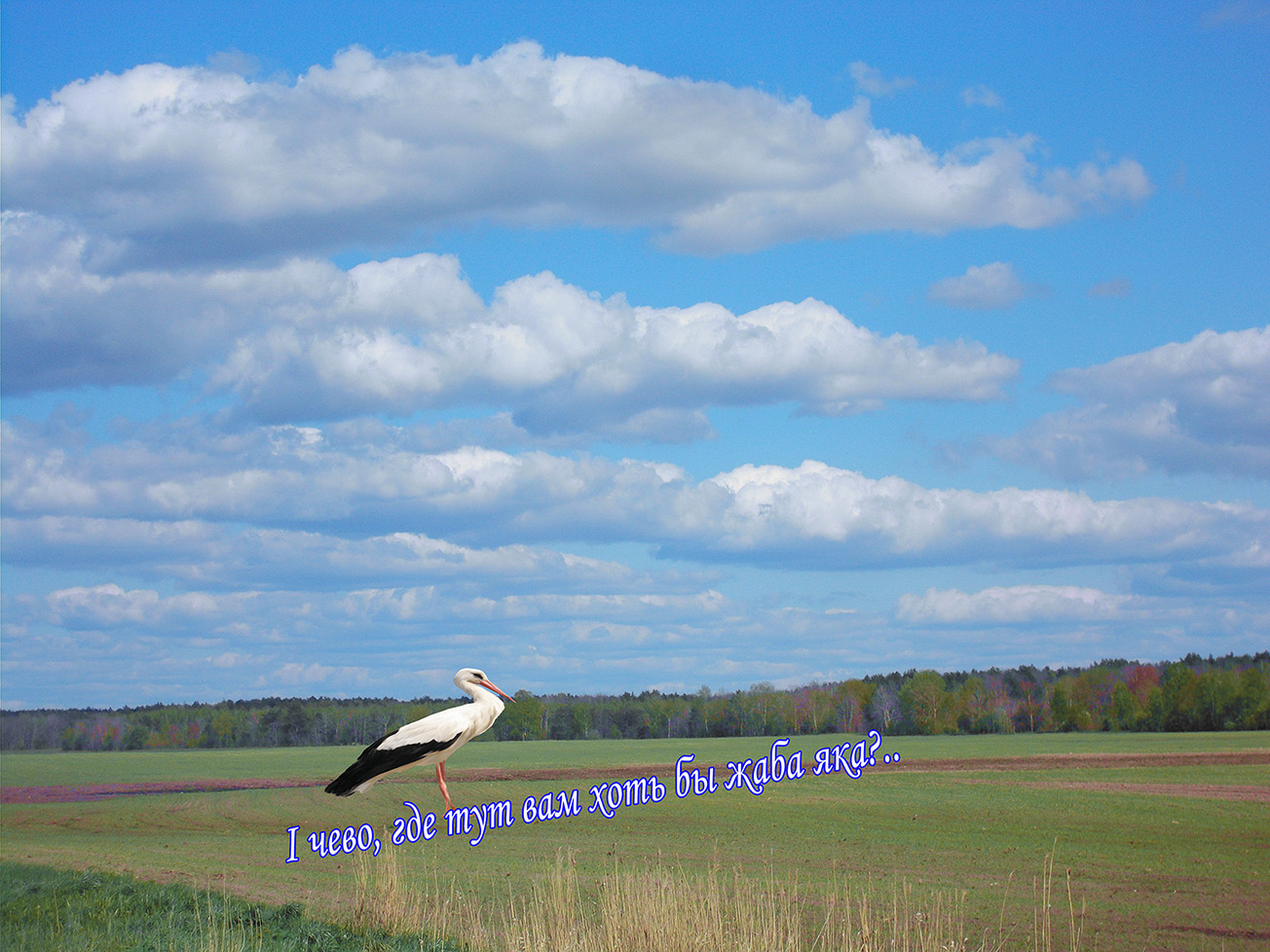 Выдно, там жывэ оно дакини,