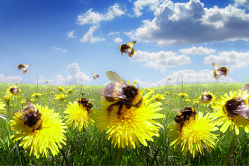 Весенняя апрельская