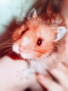 Беглец Детское