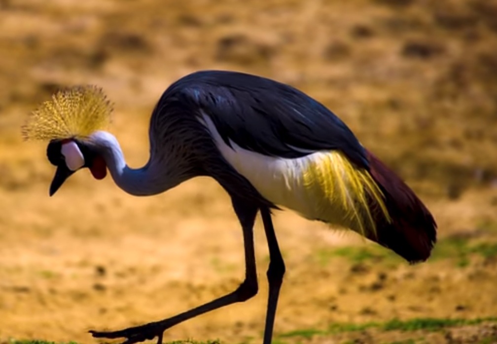 Мимо Ходом - жизнь, это то, что состоялось...