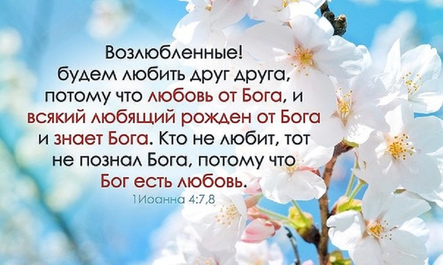 Любовь не умирает