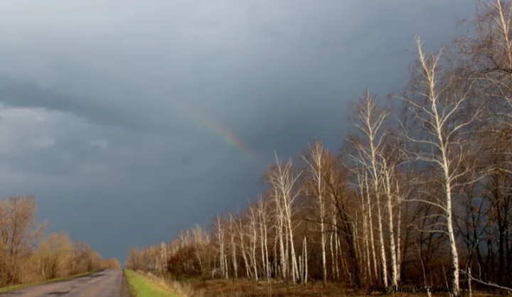 Слезы первой грозы... 12. 04. 2024