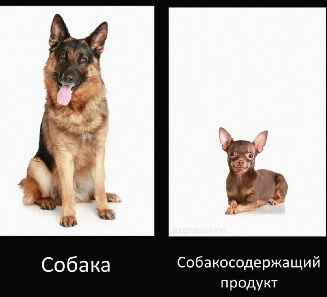 Собака с двумя маленькими собаками мем Какие бывают собаки? (Игорь Северенков) / Стихи.ру