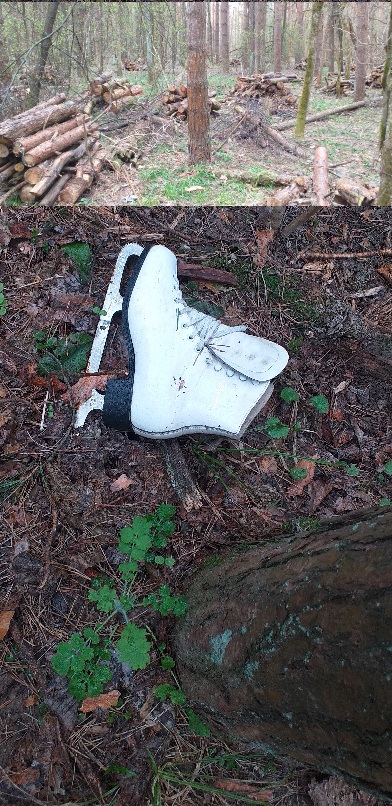 В этом лесу