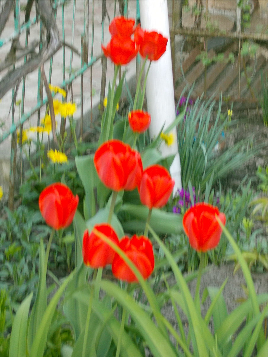 Случайнай встречи не бывает