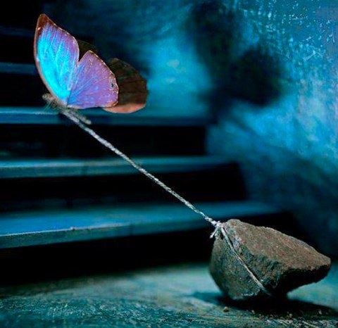 Упрямо вновь за разом раз