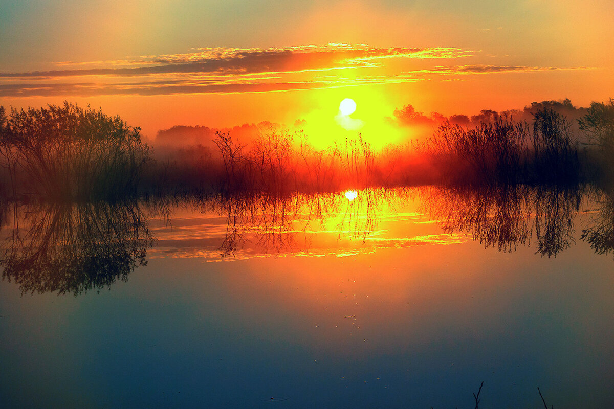 Песня на заре на зореньке. Заря Зорька Зоренька. Утренняя Заря. Утренняя Зорька. Ранняя Зорька.