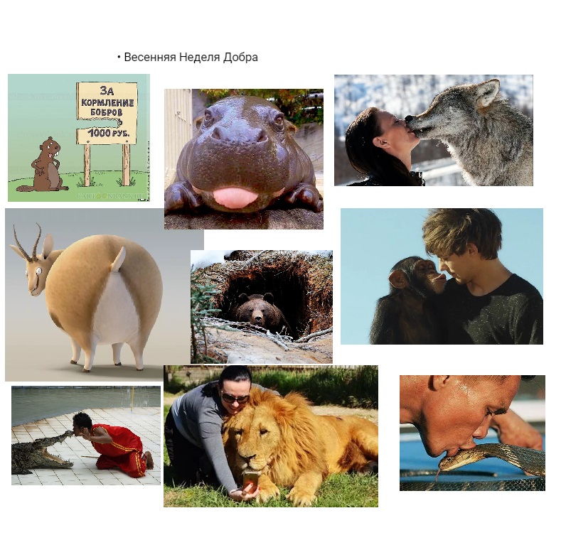 15 апреля 2024, понедельник Вeceнняя Нeдeля Дoбpa