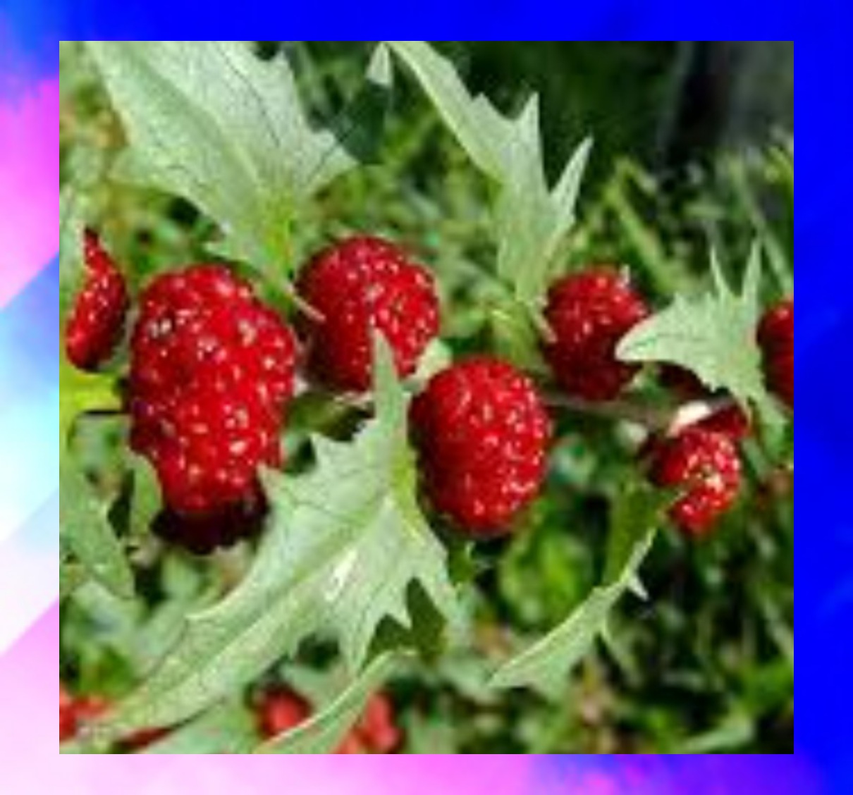 Пошутим - природа много чего создала...