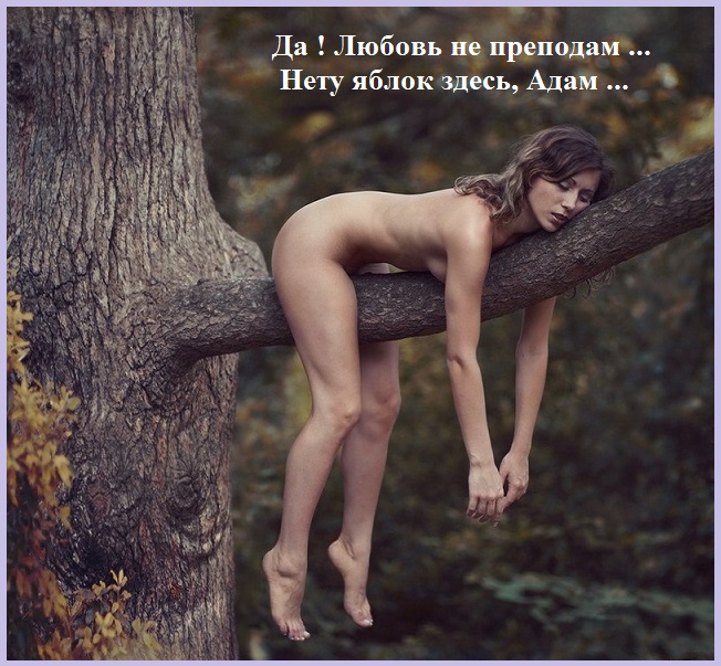 В роли Евы и Адама? А в желанье - не срослось?