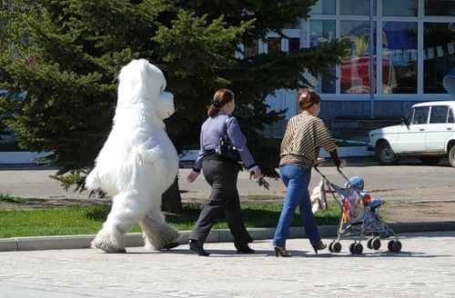 Шаг за шагом