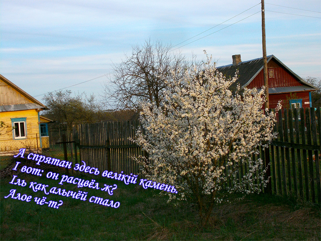 Поговоры з Ойцам!