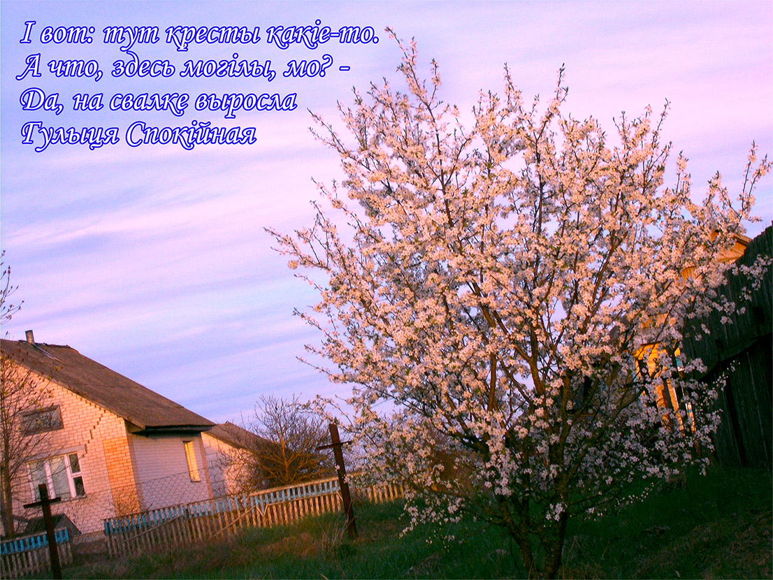 Шо робыця там в небесах?