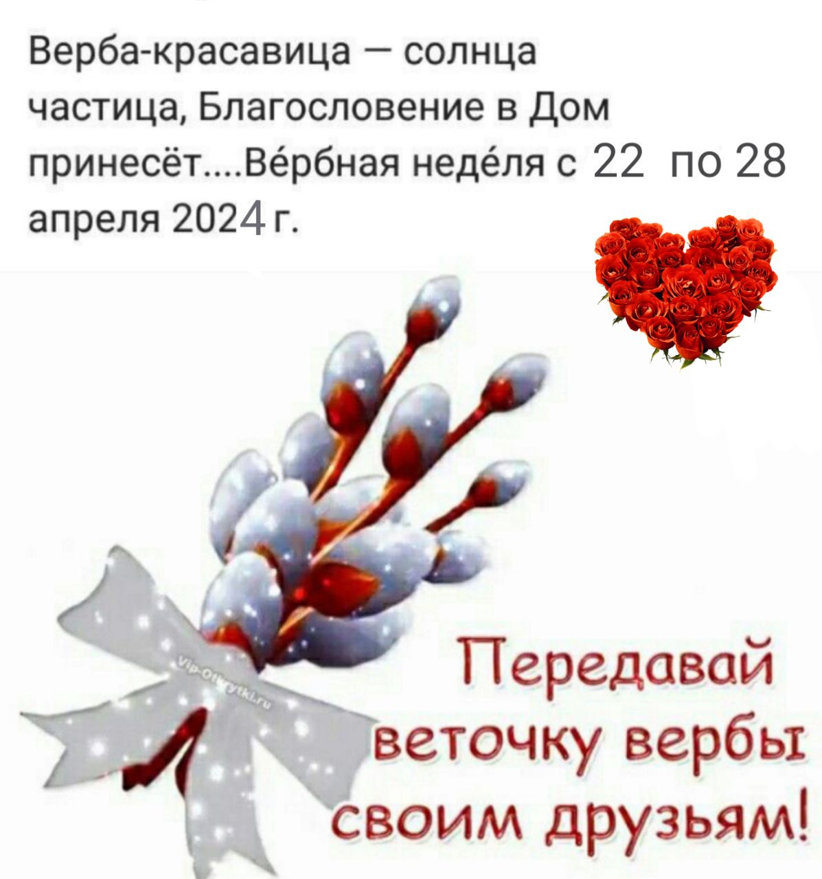 Верба веточка