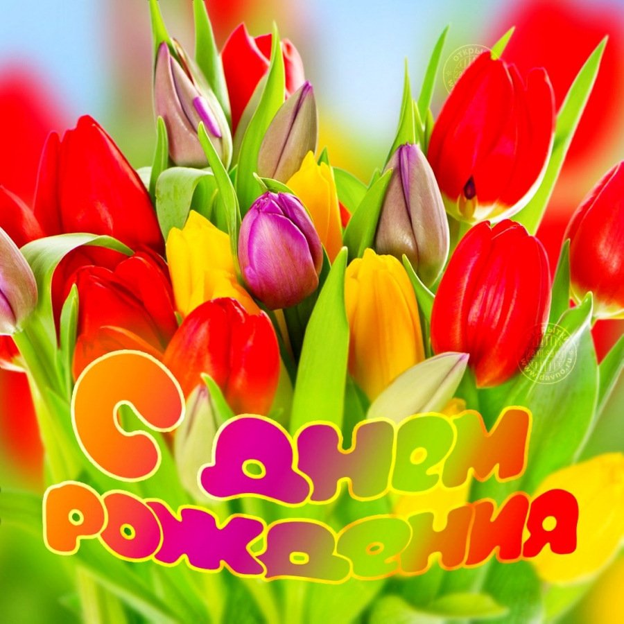 Внуку САШЕ