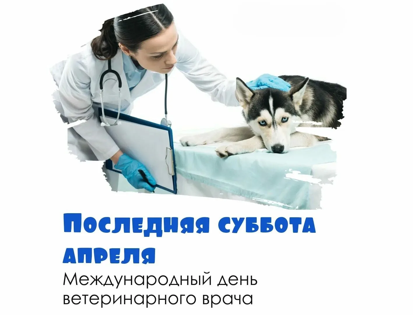 Айболитам