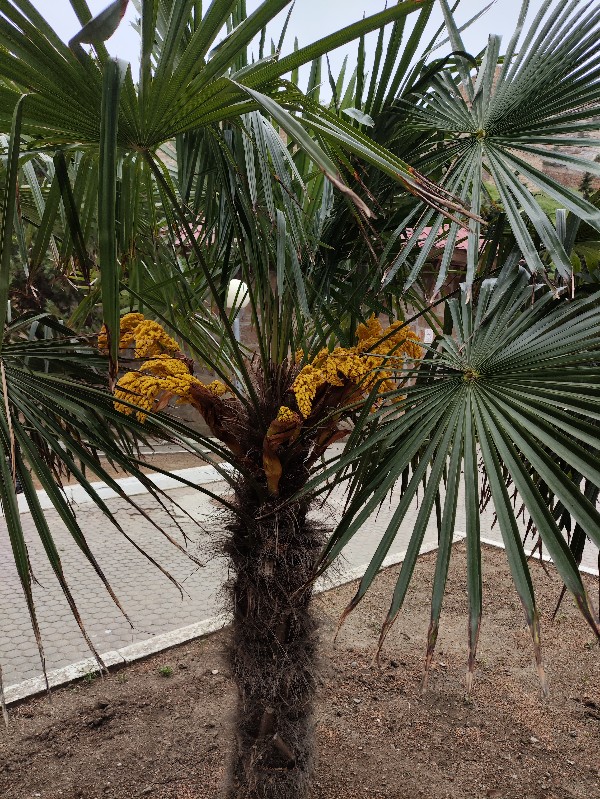 О рекламе и ростовщиках