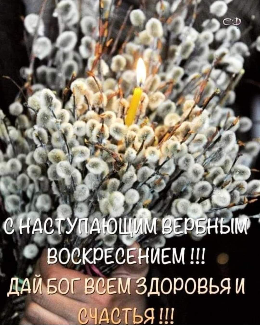 Вербновоскресенишный утренний экспромт