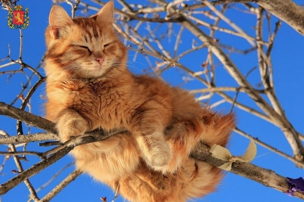 Забота Господа