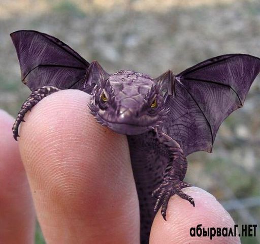 Без-конечные прогулки 36 лист 3 роман-коллаж