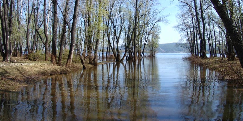 Средняя полоса