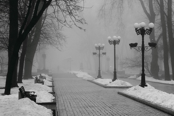 Летел навстречу серый снег...