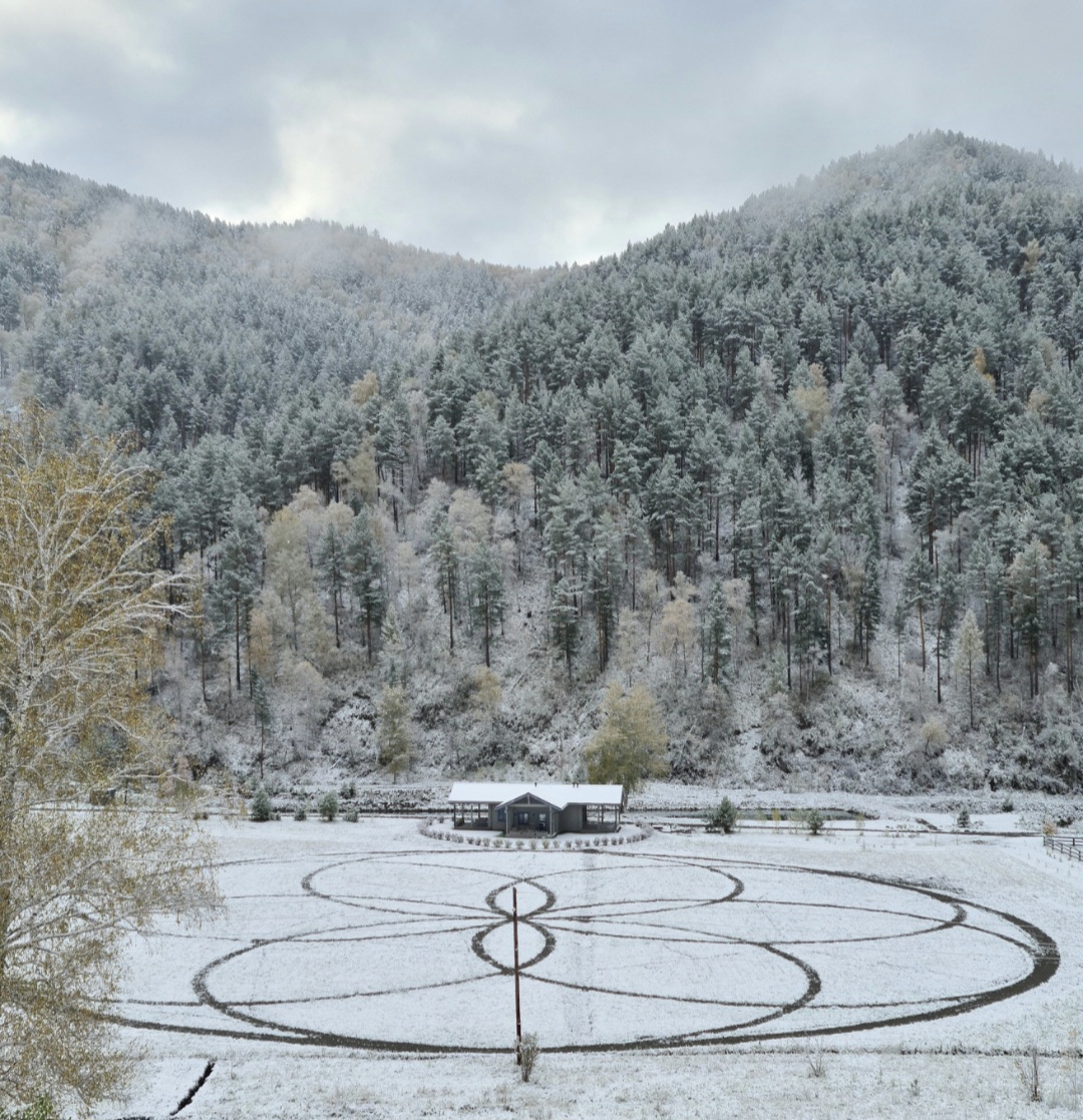 Что скажешь