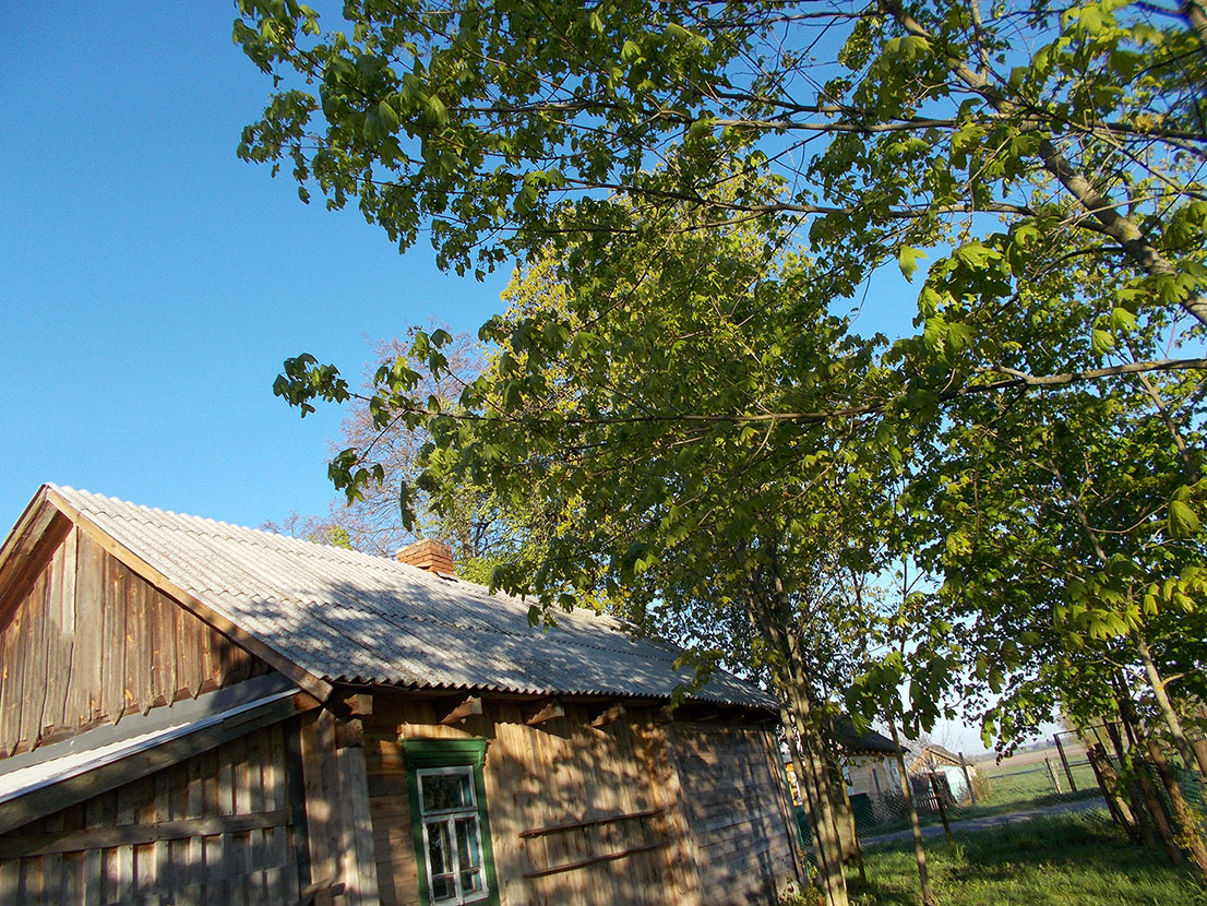 Цыцкы ж прагнэ дытыне
