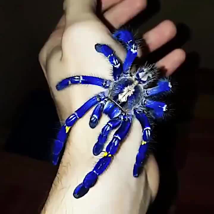 Только факты 54