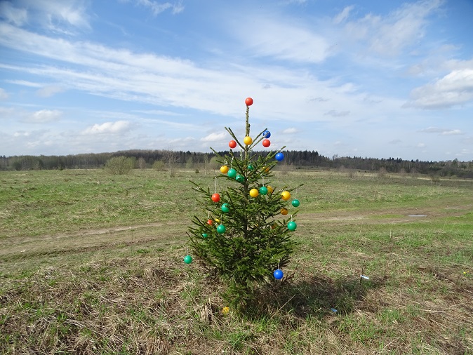 2024г. Вы всё равно мне не понятны. 1040