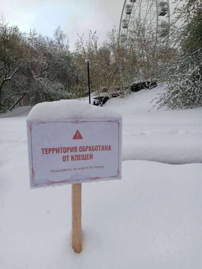 Снег в мае