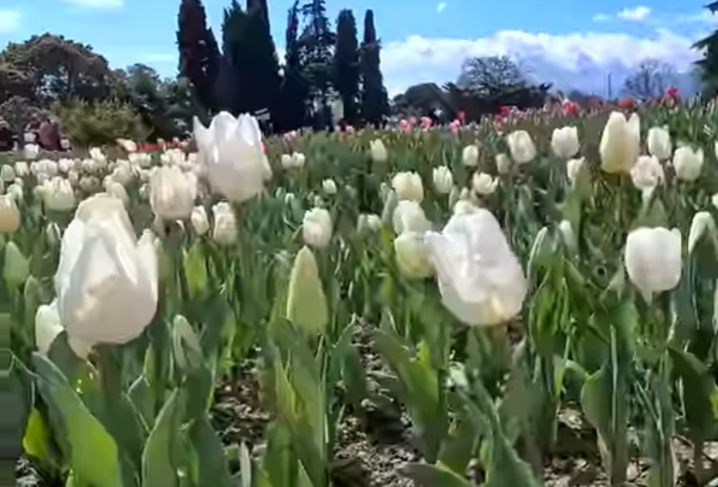 Возможность - духовный путь...