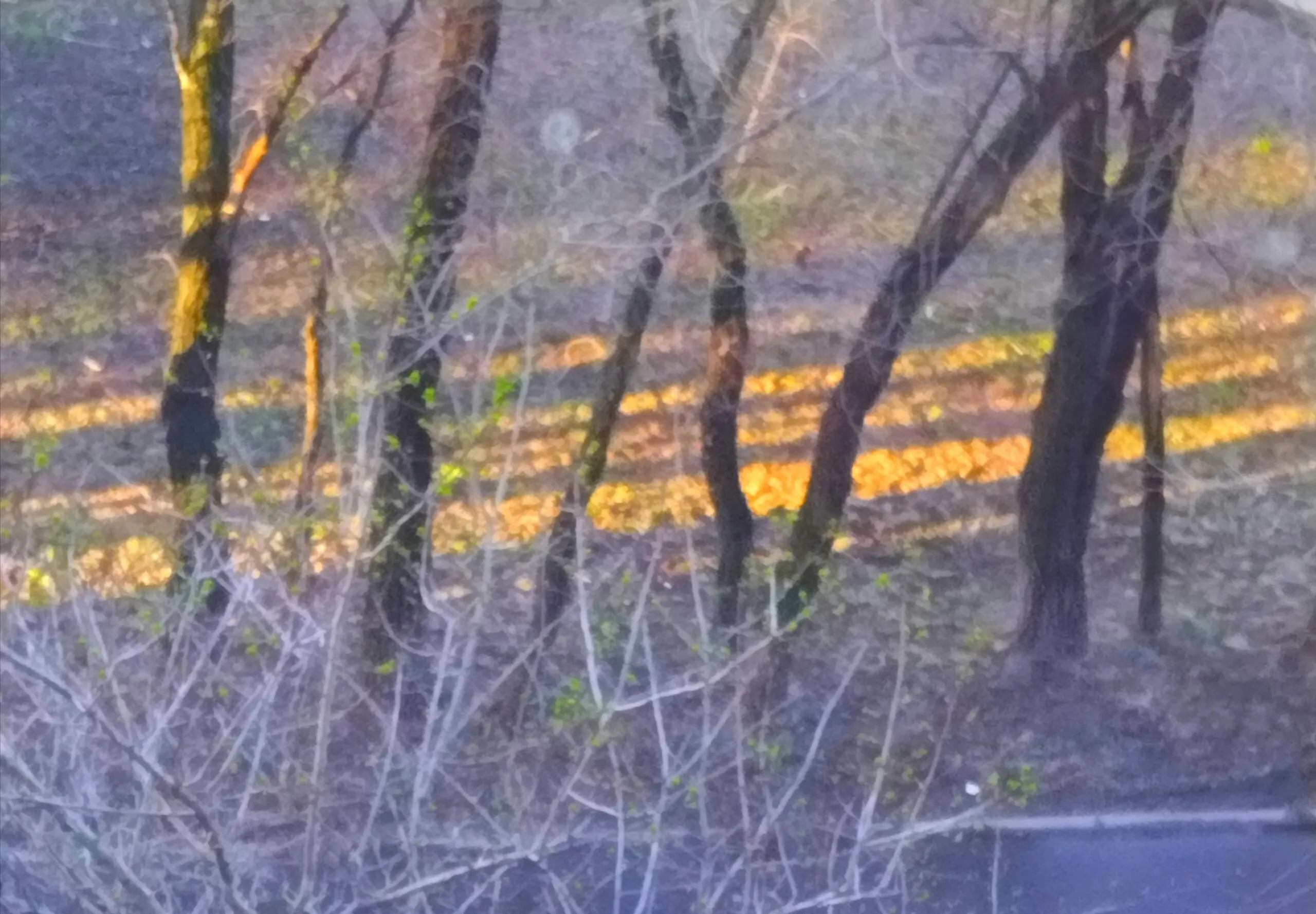 Лететь с весной...