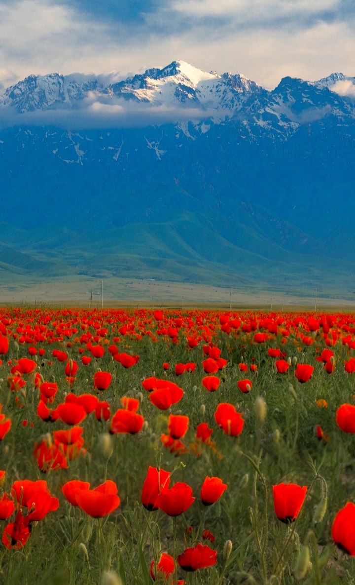 Безусловная любовь